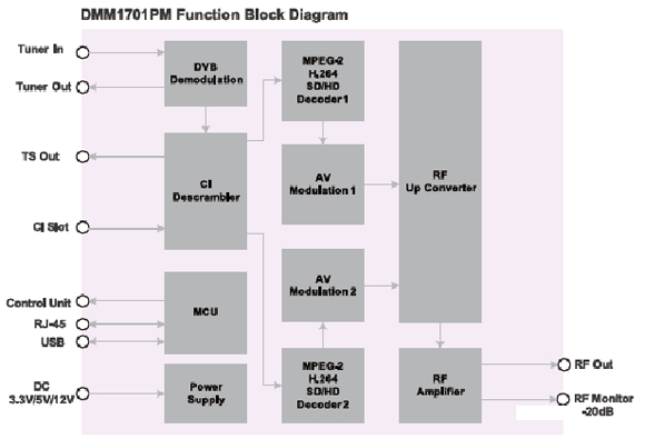 модуль DMM-1701PM структурная схема